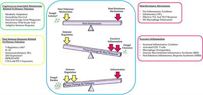 Resistance and Tolerance to Cryptococcal Infection: An Intricate Balance That Controls the Development of Disease